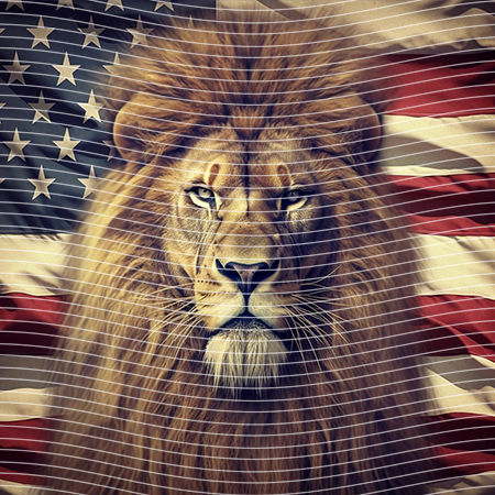 20oz integrate-EJ-10669